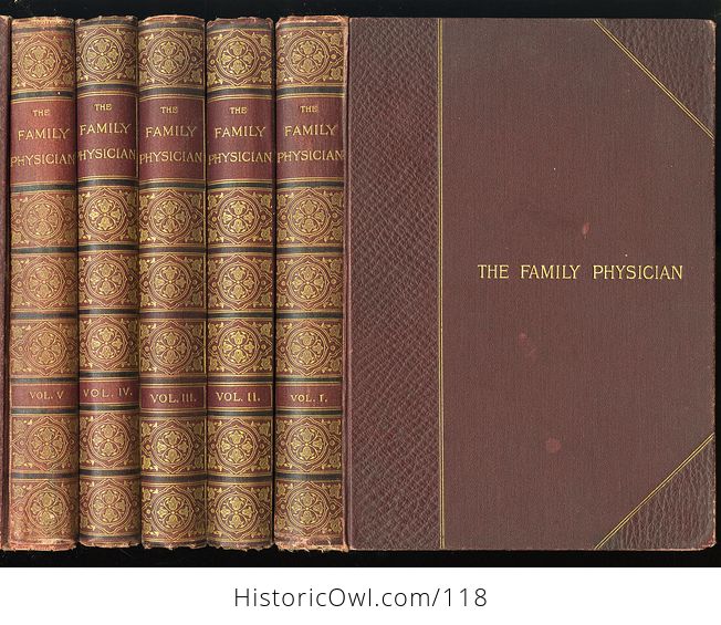 Antique Illustrated Book 3 Volumes the Family Physician a Manual of Domestic Medicine New and Enlarged Edition - #lbVYTa8vTds-1
