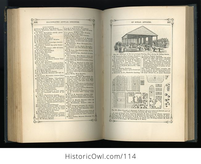 Antique Illustrated Book Annual Register of Rural Affairs for 1858 9 60 Vol Ii C1860 - #OjetYY0kTfQ-10