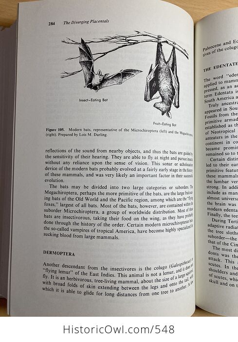 Evolution of the Vertebrates Third Edition by Edwin H Colbert C1980 - #3B9FUyF0n0g-9