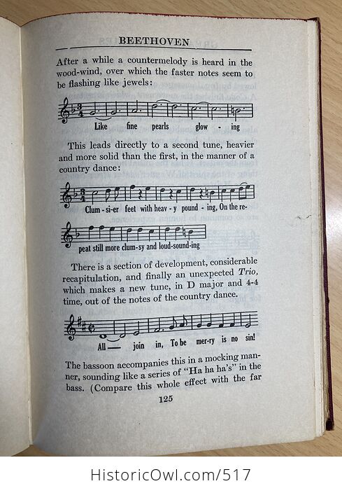 Great Symphonies How to Recognize and Remember Them Book by Sigmund Spaeth C1936 - #tbcDyJNT6HU-10