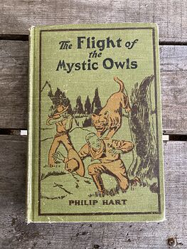 The Flight of the Mystic Owls Vintage Book by Philip Hart C1929 #5upBIIMlrlc