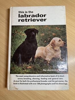 This Is the Labrador Retriever Book by Dorothy Howe C1972 #wei0TjIMYZ4