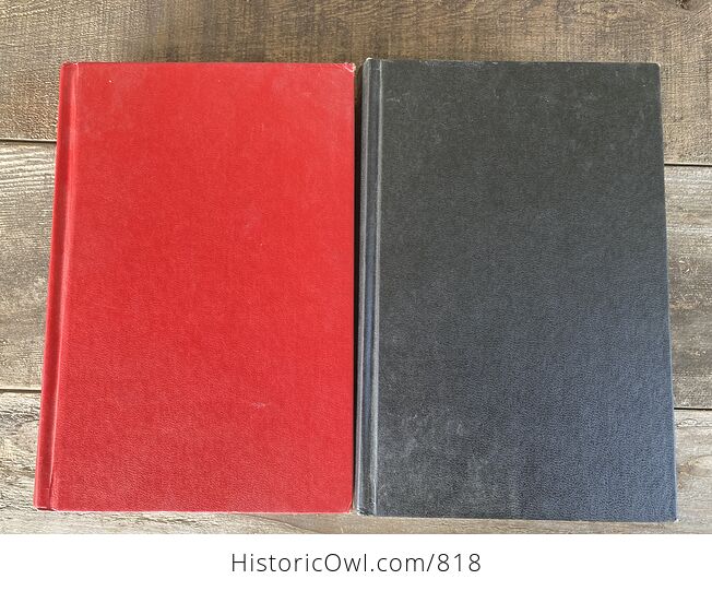 Adolf Hitler Two Volume Book Set by John Toland C1976 - #ghqA8IiHza0-16