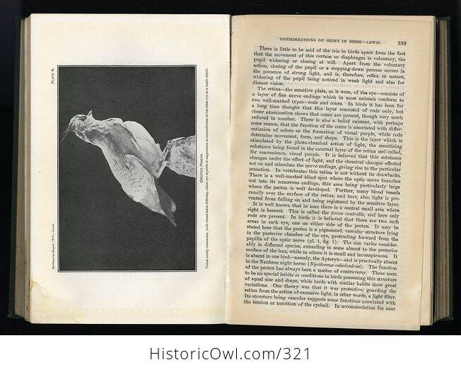Annual Report of the Smithsonian Institution 1916 Antique Illustrated Book - #EF41EBvBQvQ-7