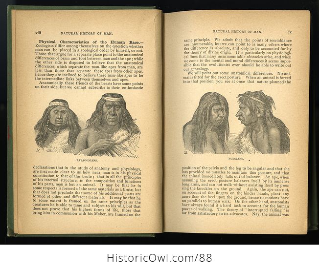 Antique Book Illustrated Natural History by Rev J G Wood C 1886 - #0v845OyfwtE-5