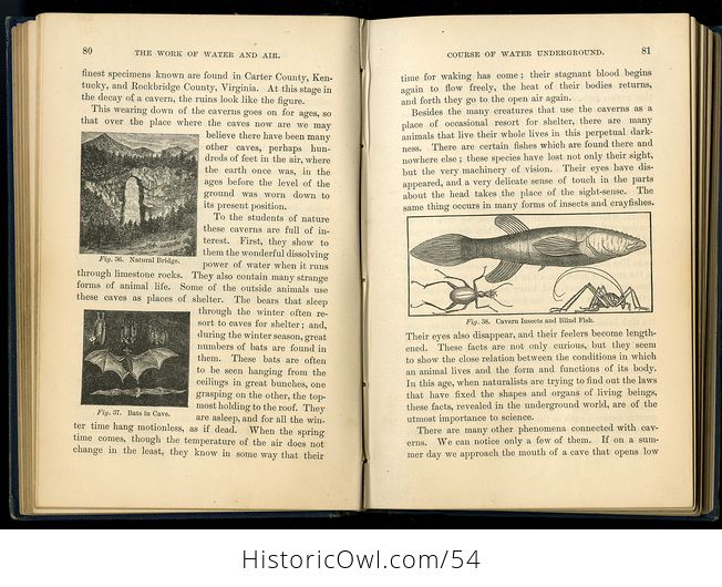 Antique Illustrated a First Book in Geology Designed for the Use of Beginners by N S Shaler C 1885 - #IYd6OPrv23A-5