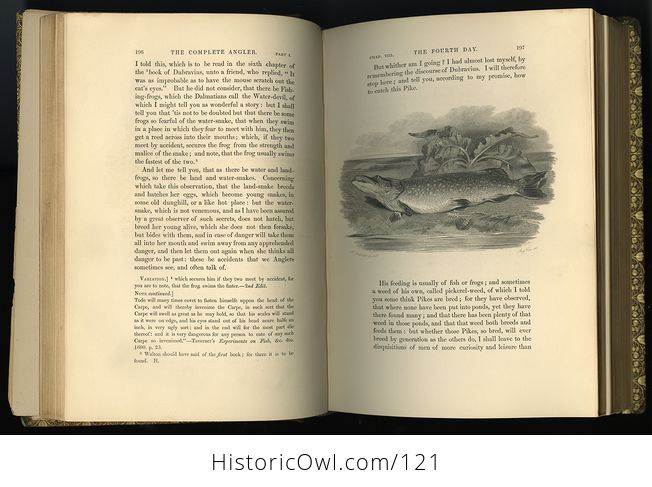 Antique Illustrated Book 2 Volumes the Complete Angler or the Contemplative Mans Recreation by Izaak Walton C1860 - #t22TE8Cl7z4-12
