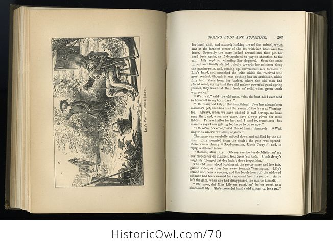 Antique Illustrated Book a Fools Errand and the Invisible Empire by Albion W Tourgee C 1880 - #WjeCPvoPrwo-7