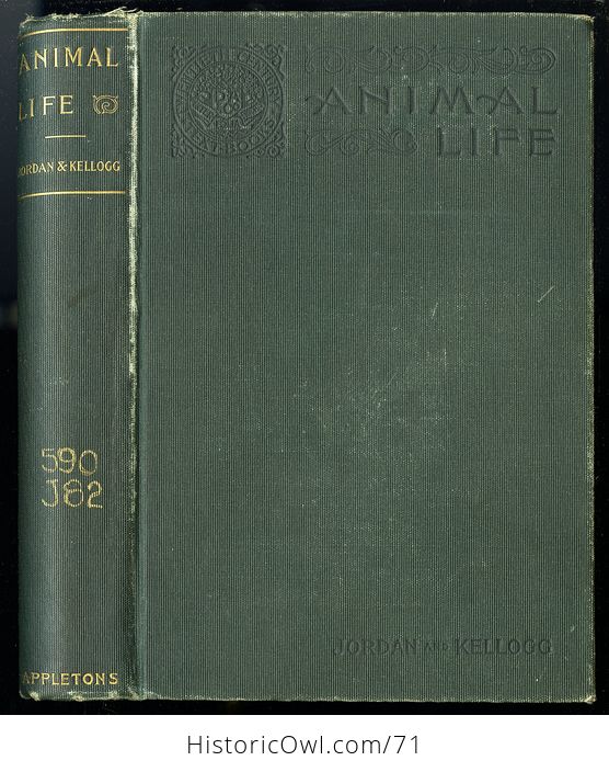 Antique Illustrated Book Animal Life a First Book of Zoology by David S Jordan and Vernon Kellogg C1900 - #TGf55q9kVjw-1
