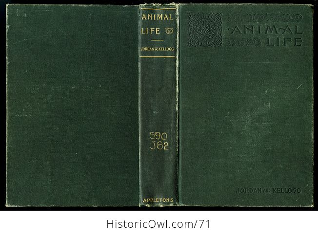 Antique Illustrated Book Animal Life a First Book of Zoology by David S Jordan and Vernon Kellogg C1900 - #TGf55q9kVjw-2