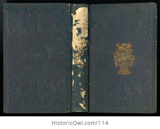 Antique Illustrated Book Annual Register of Rural Affairs for 1858 9 60 Vol Ii C1860 - #OjetYY0kTfQ-2