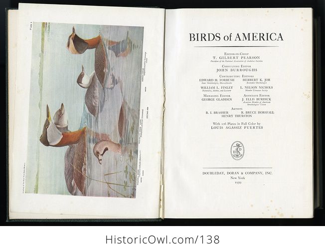 Antique Illustrated Book Birds of America Doubleday Doran and Company C1939 - #Ff8IxgAZDGg-4