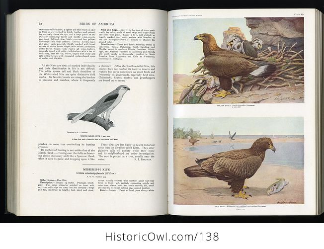 Antique Illustrated Book Birds of America Doubleday Doran and Company C1939 - #Ff8IxgAZDGg-10