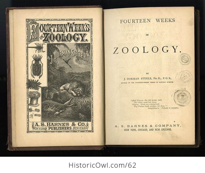 Antique Illustrated Book Fourteen Weeks in Zoology by J Dorman Steele C1872 - #B3KfniYdk0E-2