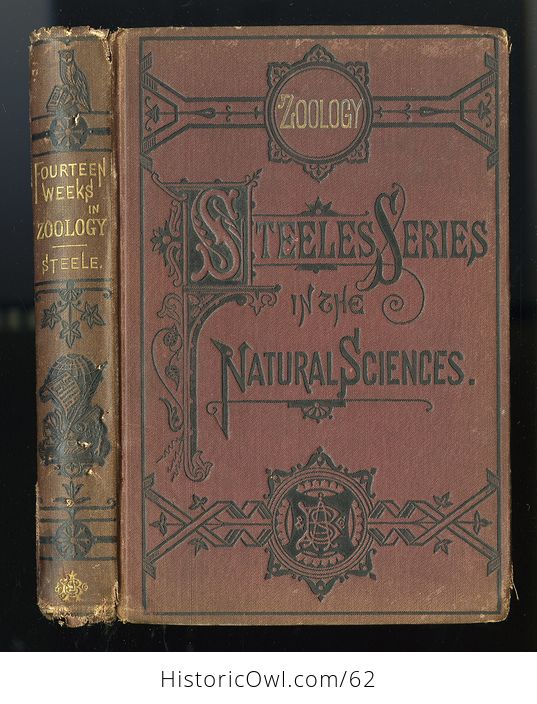Antique Illustrated Book Fourteen Weeks in Zoology by J Dorman Steele C1872 - #B3KfniYdk0E-1