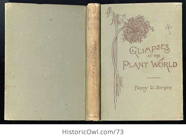 Antique Illustrated Book Glimpses at the Plant World by Fanny D Bergen C 1984 - #QIIKZZt1Rr8-2