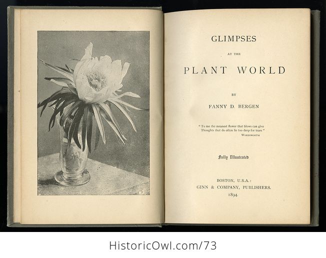 Antique Illustrated Book Glimpses at the Plant World by Fanny D Bergen C 1984 - #QIIKZZt1Rr8-3