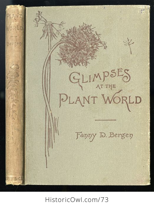 Antique Illustrated Book Glimpses at the Plant World by Fanny D Bergen C 1984 - #QIIKZZt1Rr8-1
