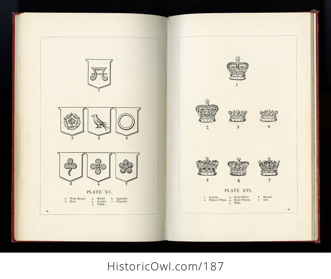 Antique Illustrated Book Heraldry Simplified by Frederick Curtis C1899 - #9SDUx7deE0M-3