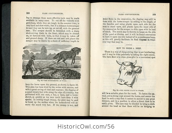 Antique Illustrated Book Homemade Contrivances for Farm and Garden Dairy and Workshop by Orange Judd Company C1905 - #fhgCv9NKjiE-8