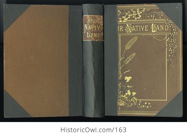 Antique Illustrated Book Our Native Land or Glances at American Scenery and Places with Sketches of Life and Adventure 1882 - #ccxJT3sWTNs-16