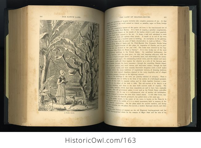 Antique Illustrated Book Our Native Land or Glances at American Scenery and Places with Sketches of Life and Adventure 1882 - #ccxJT3sWTNs-15