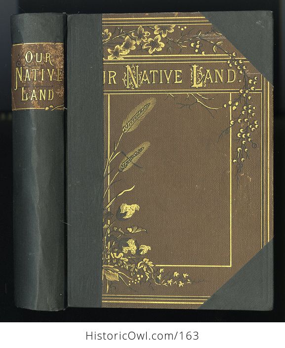 Antique Illustrated Book Our Native Land or Glances at American Scenery and Places with Sketches of Life and Adventure 1882 - #ccxJT3sWTNs-1