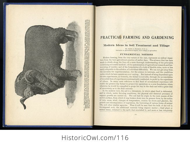 Antique Illustrated Book Practical Farming and Gardening Edited by Willis Macgerald C1914 - #lPntJyOKKt0-5