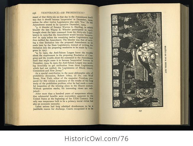 Antique Illustrated Book Temperance or Prohibition C1929 - #LSDlmO9i3lI-9