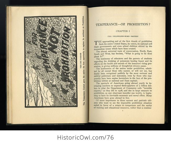 Antique Illustrated Book Temperance or Prohibition C1929 - #LSDlmO9i3lI-4