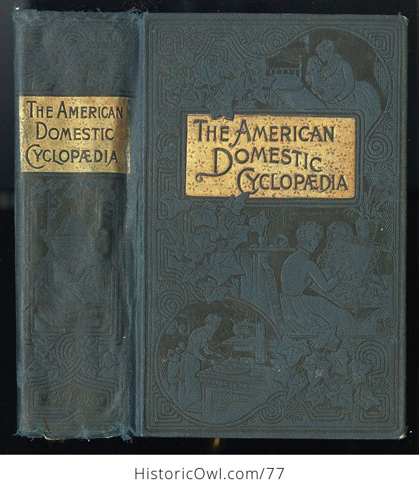 Antique Illustrated Book the American Domestic Cyclopedia by F M Lupton - #n4zq332vtx0-1