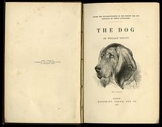 Antique Illustrated Book the Dog by William Youatt C1879 #offK7OBGWBg