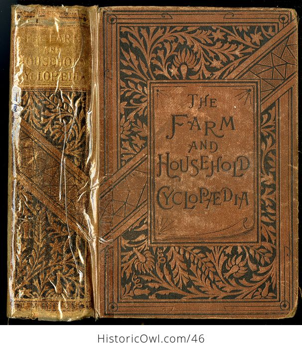 Antique Illustrated Book the Farm and Household Cyclopedia by F M Lupton C 1885 - #6m2aNtl397k-1