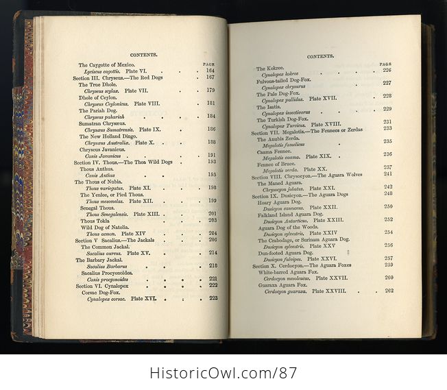 Antique Illustrated Book the Naturalists Library Volume Xviii Mammalia Dogs Vol I C1856 - #5WHMVCMRaIk-8
