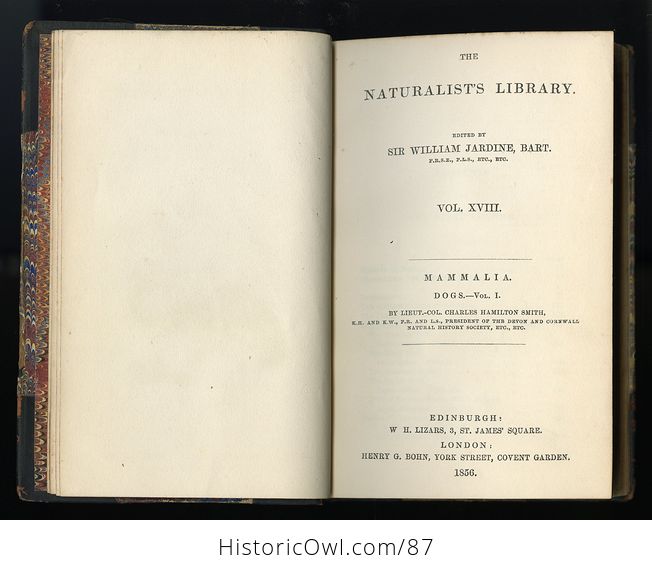 Antique Illustrated Book the Naturalists Library Volume Xviii Mammalia Dogs Vol I C1856 - #5WHMVCMRaIk-6
