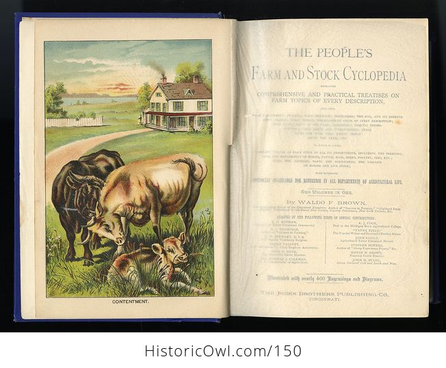 Antique Illustrated Book the Peoples Farm and Stock Cyclopedia by Waldo F Brown C1884 - #L9M9jRKklME-11