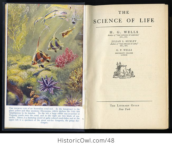 Antique Illustrated Book the Science of Life by H G Wells C1934 - #jx9rVNmDljw-12