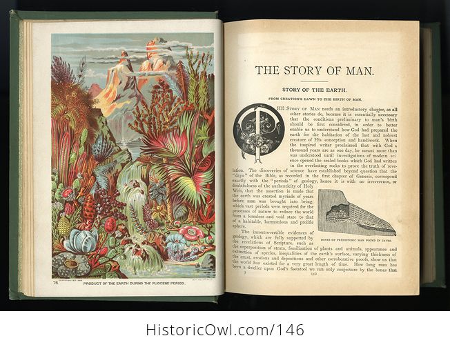 Antique Illustrated Book the Story of Man a History of the Human Race by J W Buel C1889 - #4p3F7me9pkM-8