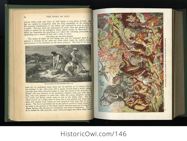Antique Illustrated Book the Story of Man a History of the Human Race by J W Buel C1889 - #4p3F7me9pkM-6
