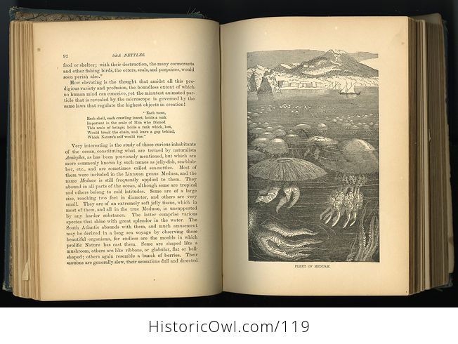 Antique Illustrated Book the Water World by J W Van Dervoort C1885 - #K6JsoYHxJ88-8