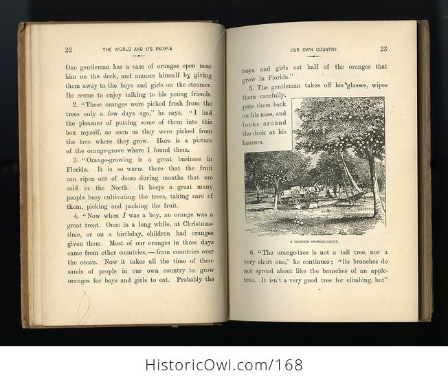 Antique Illustrated Book the World and Its People Book Iii Our Own Country by Minna C Smith C1895 - #lGQHmwAbDpo-6
