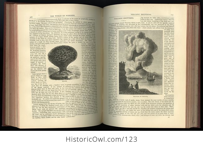 Antique Illustrated Book the World of Wonders a Record of Things Wonderful in Nature Science and Art C1873 - #OozzCx1Xyvw-10