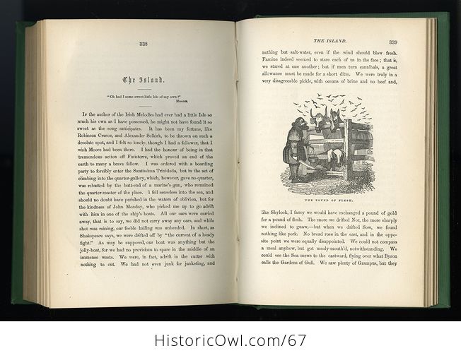 Antique Illustrated Books 3 Volumes Hoods Works the Prose Works of Thomas Hood Vol I and Vol Ii the Poetical Works of Thomas Hood Vol Ii C 1870 - #IT14slxKqYM-7