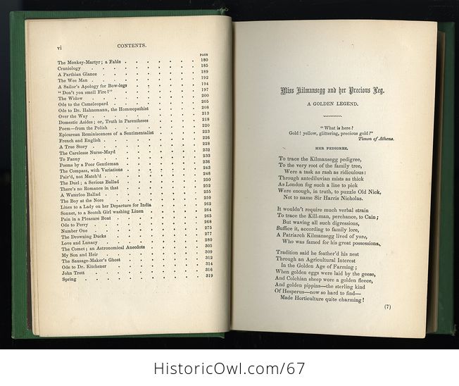 Antique Illustrated Books 3 Volumes Hoods Works the Prose Works of Thomas Hood Vol I and Vol Ii the Poetical Works of Thomas Hood Vol Ii C 1870 - #IT14slxKqYM-2
