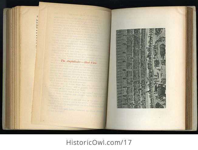 Antique Illustrated Books the Last Days of Pompeii by Edward Bulwer Lytton C 1891 2 Volumes - #7fX9SmZvWYA-8
