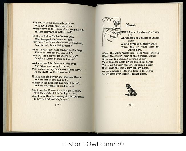 Antique Illustrated Poetry Book up in Alaska by Esther Birdsall Darling C 1912 - #afKf3csfUt8-7