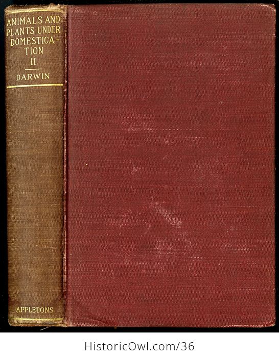 Antique Misprint Book the Variation of Animals and Plants Under Domestication by Charles Darwin C1898 - #fj3f0Yji7oc-7