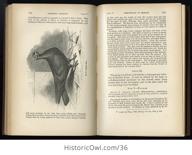 Antique Misprint Book the Variation of Animals and Plants Under Domestication by Charles Darwin C1898 - #fj3f0Yji7oc-3