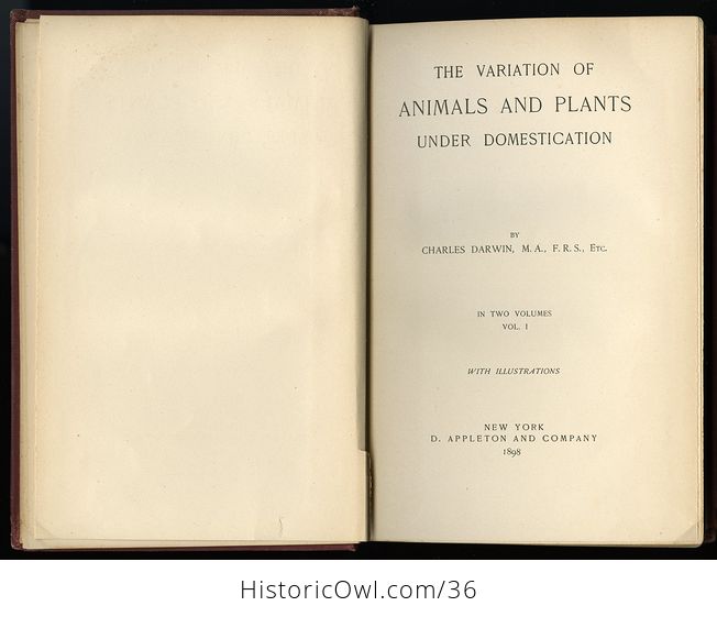 Antique Misprint Book the Variation of Animals and Plants Under Domestication by Charles Darwin C1898 - #fj3f0Yji7oc-8