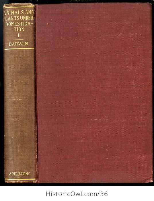 Antique Misprint Book the Variation of Animals and Plants Under Domestication by Charles Darwin C1898 - #fj3f0Yji7oc-1